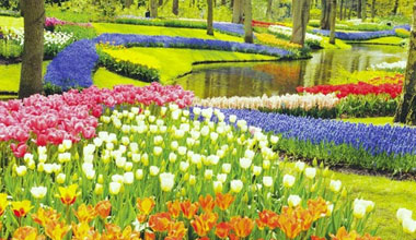 Avalon Keukenhof